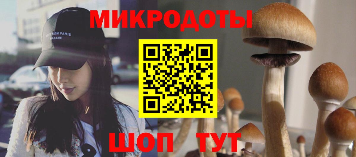 Ивантеевка  Псилоцибиновые грибы прущие грибы  Вход с VPN 